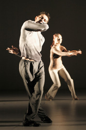 Szellőrózsa Szellőrózsa