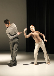 Szellőrózsa Szellőrózsa